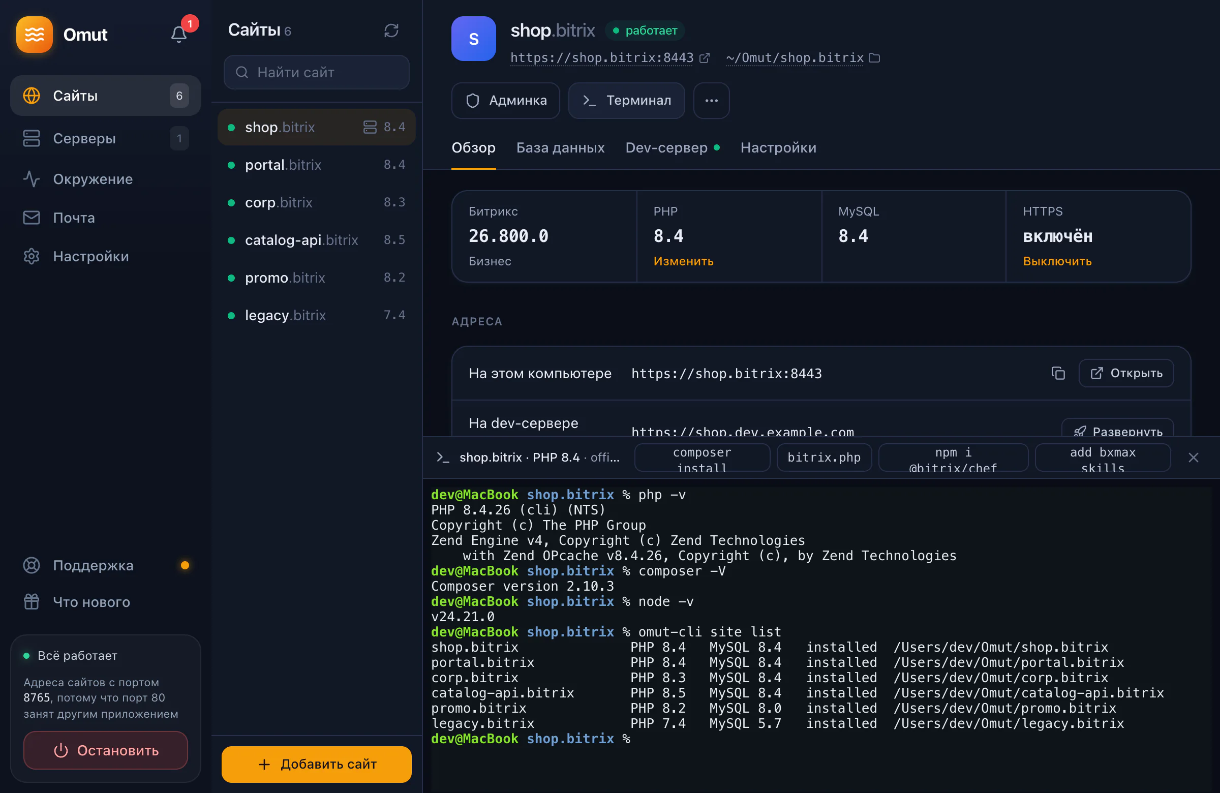 Терминал сайта: PHP, Composer и Node 24 из поставки Omut, команда omut-cli