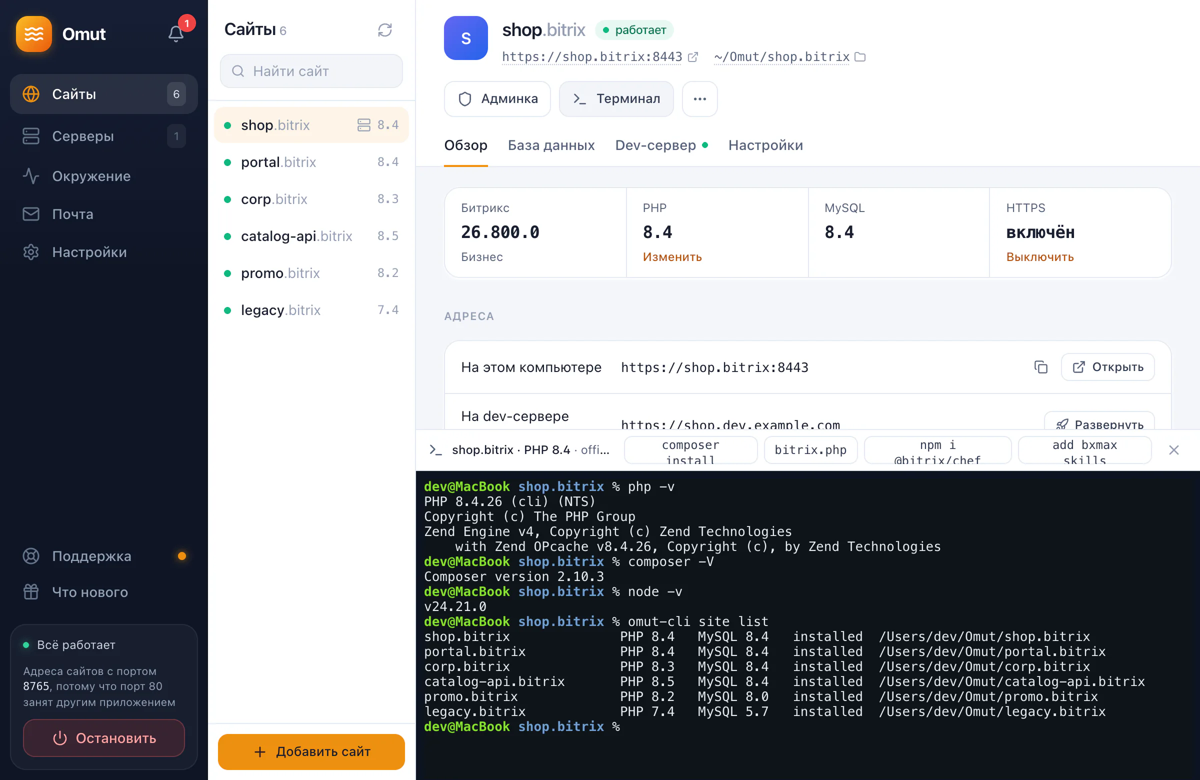 Терминал сайта: PHP, Composer и Node 24 из поставки Omut, команда omut-cli